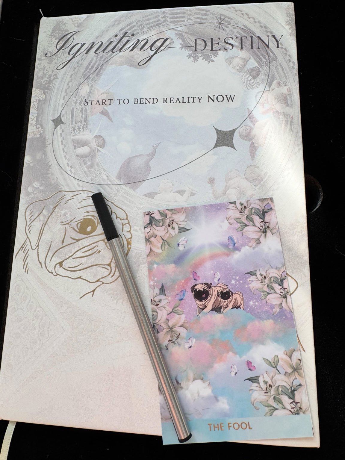 Posoulo Igniting Destiny journal with The Fool card and replacement ink refill included for the crystal pen