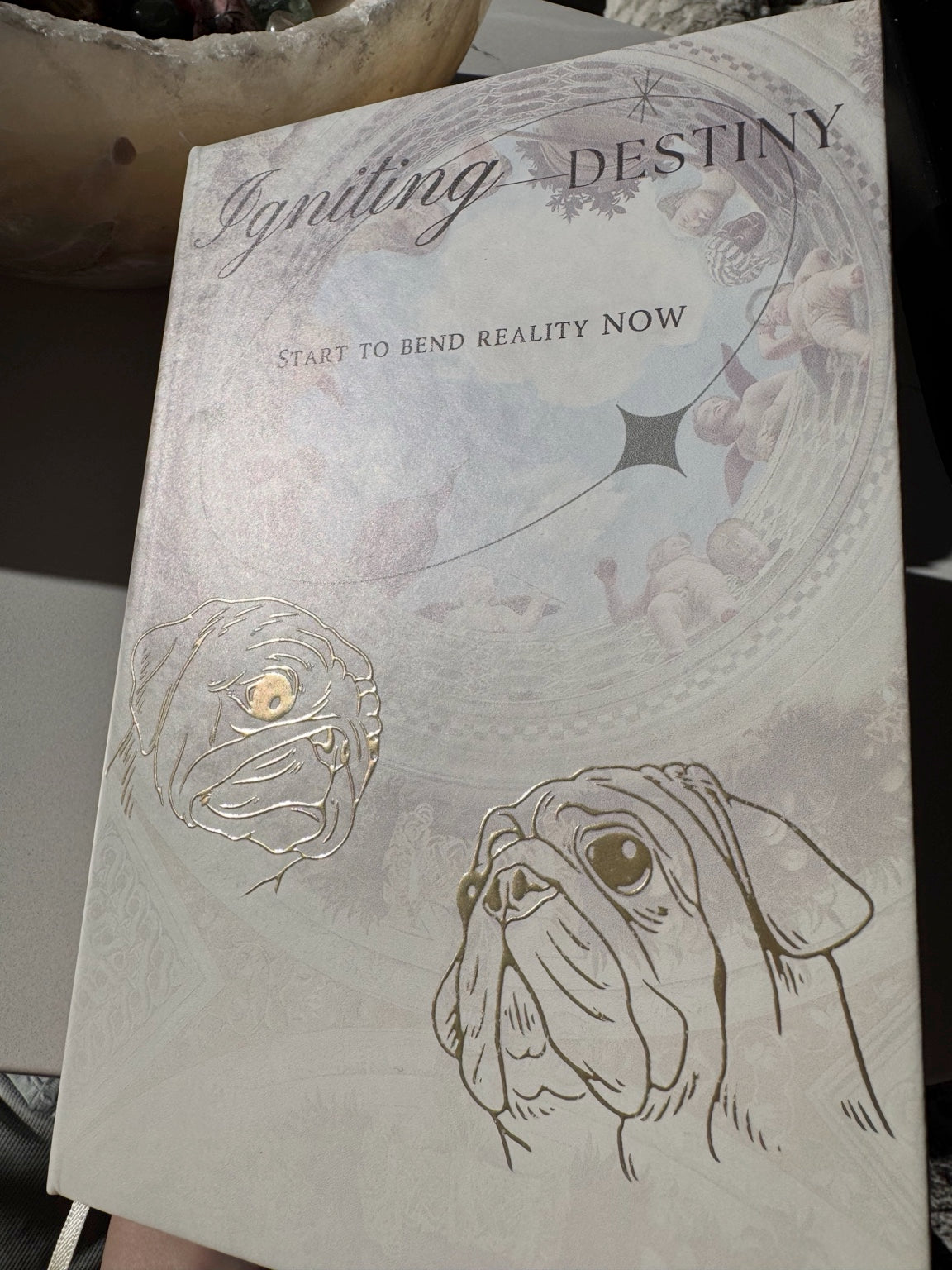 Front cover of the Posoulo Igniting Destiny journal with gold-foil Potato and Puglo artwork
