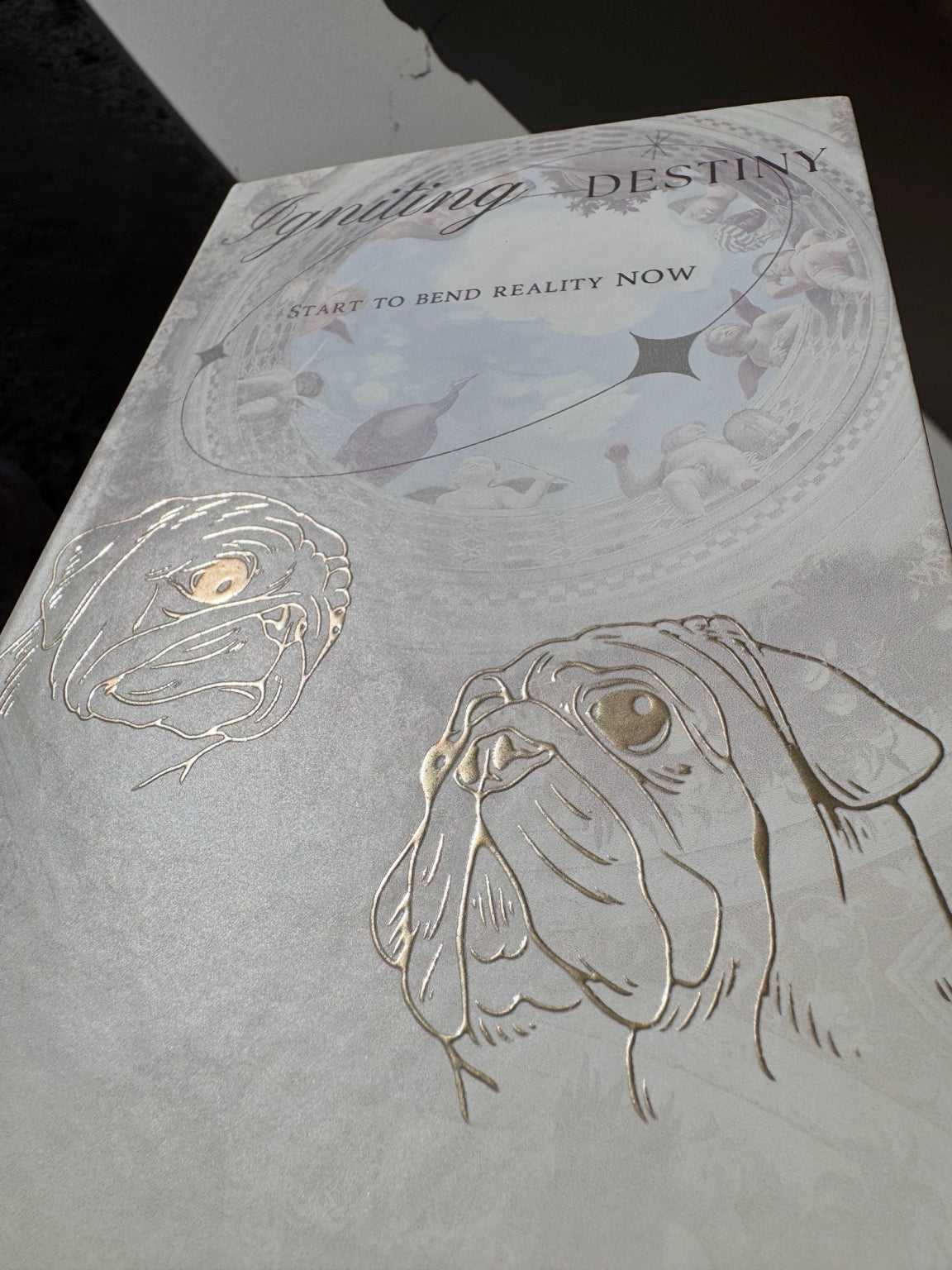 Close angled view of the Posoulo Igniting Destiny journal cover with gold-foil Potato and Puglo artwork